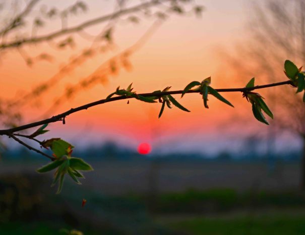 Uno dei tramonti in Cascina